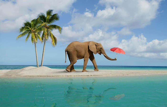 Andaman Highlights