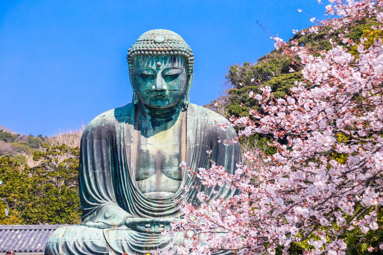 Experience Japan’s Sakura Season