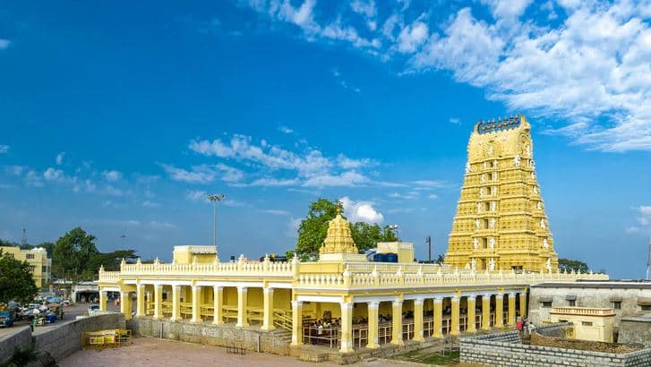 Main view