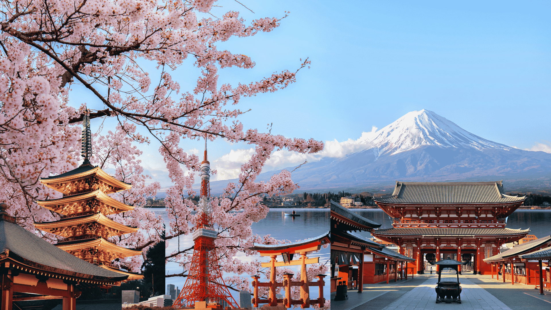 japan