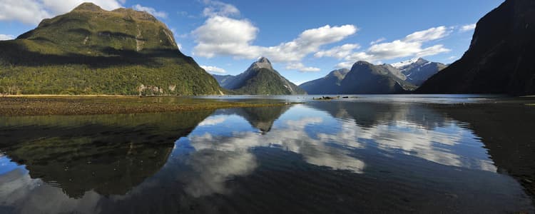 Quick adventure, kiwi style