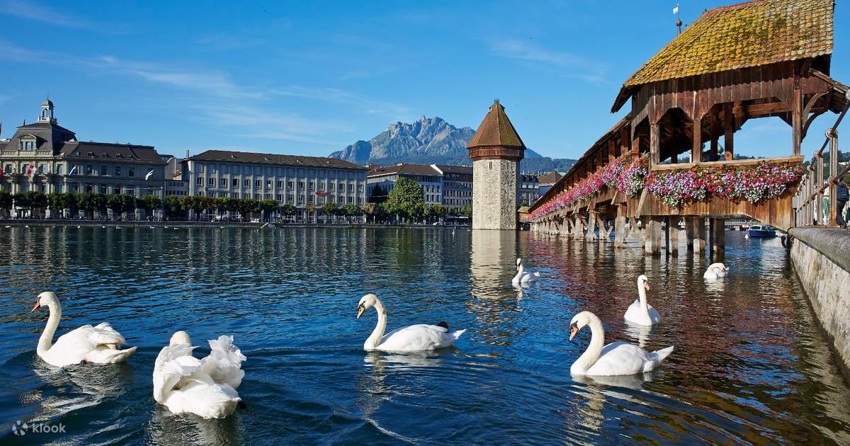 Discover More, Stress Less"